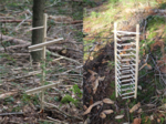 Nahaufnahme der beiden Holz-Modelle.