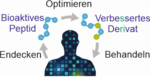 Zu sehen ist in einem Schema, wie bioaktive Peptide aus dem Körper entnommen, verbessert und wieder in den Körper gelangen.