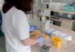 Eine Person in einem weißen Laborkittel mit blauen Laborhandschuhen steht vor einer Laborbank auf welcher zahlreiche Probenröhrchen stehen. Im Hintergrund sieht man Laborausrüstung.